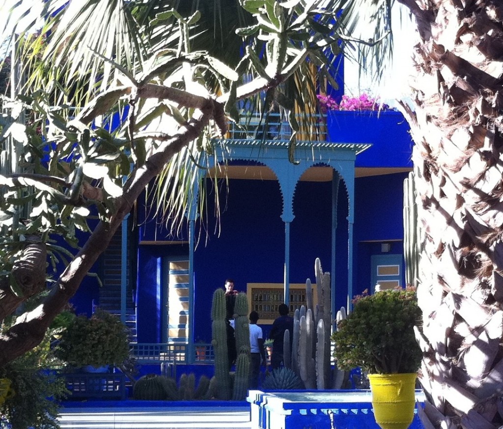 YSL Garden